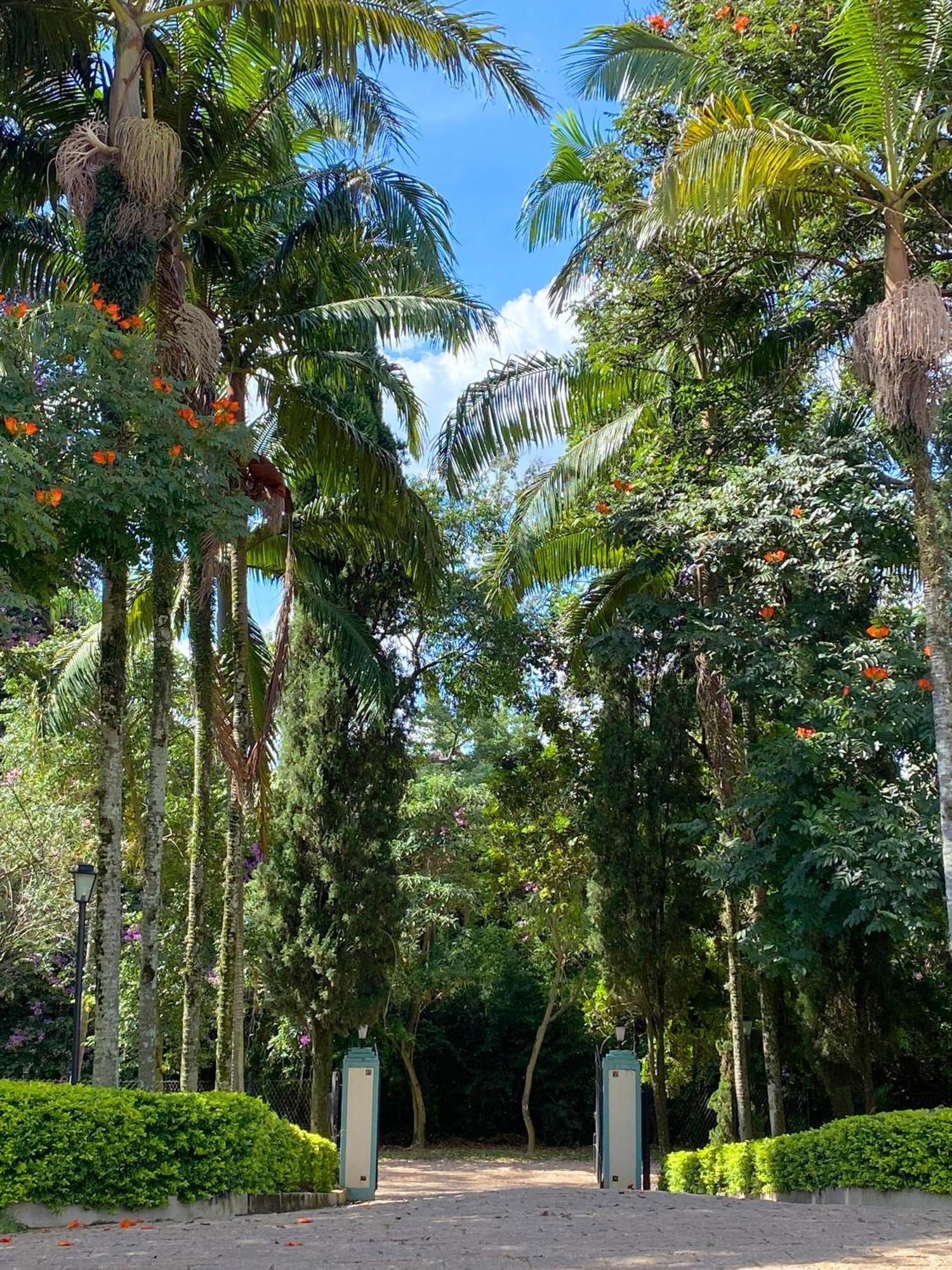 Limoeiro Da Concordia Hotel Fazenda De Charme Cabreúva Esterno foto